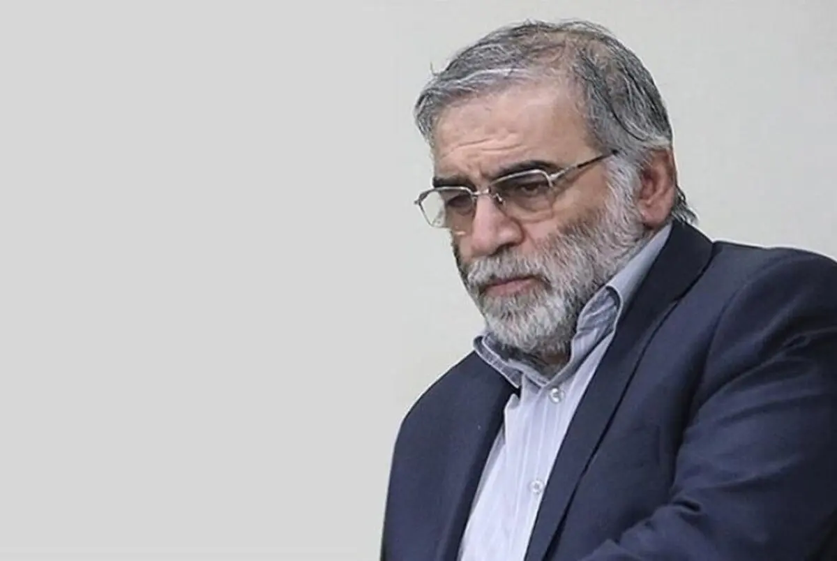 بیانیه وزارت دفاع در سالگرد شهادت شهید محسن فخری زاده