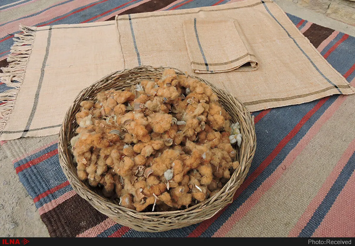 ۸ مراسم و آیین معنوی در خراسان جنوبی به ثبت رسید