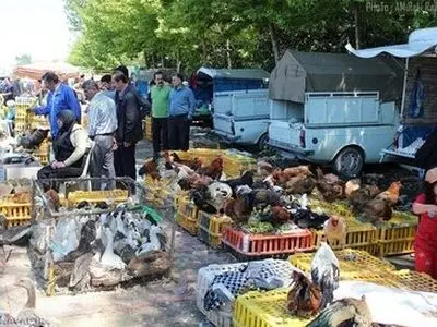 جمعه بازار کاشان منع فعالیت ندارد/فردا جمعه بازار دایر است