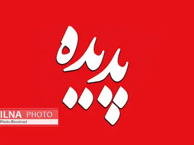 اعلام جزئیات آرای متهمان پرونده پدیده شاندیز/  پهلوان به حبس ابد محکوم شد + فیلم