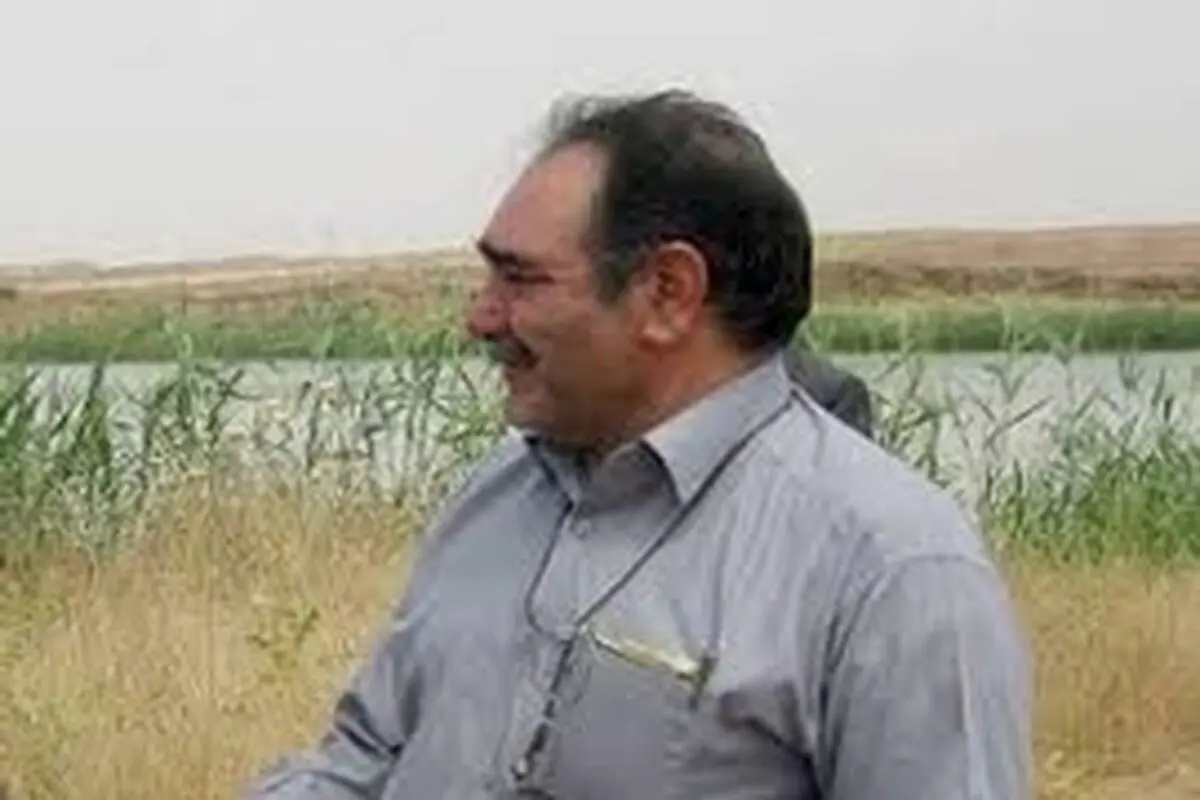 سرعت در روند اصلاح و بهسازی باغ‌های چای