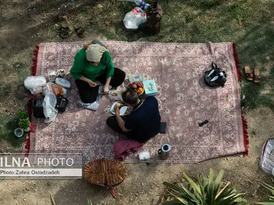 تک عکس/ احساس سبز خانه ی ما