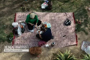 تک عکس/ احساس سبز خانه ی ما