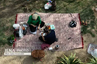 تک عکس/ احساس سبز خانه ی ما