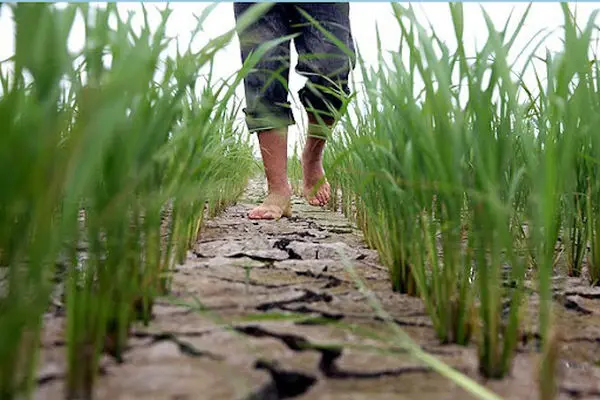 خدمات ملی؛ بودجه استانی/ ۲۰ شهر و ۲۱۳ روستای مازندران تنش آبی دارند