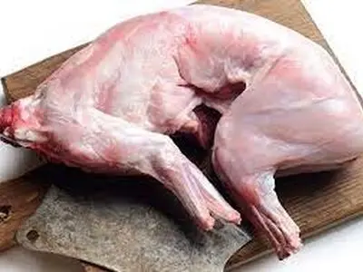 آیا خوردن گوشت خرگوش مجاز است؟
