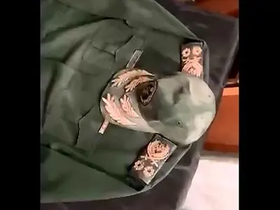 asdasd
