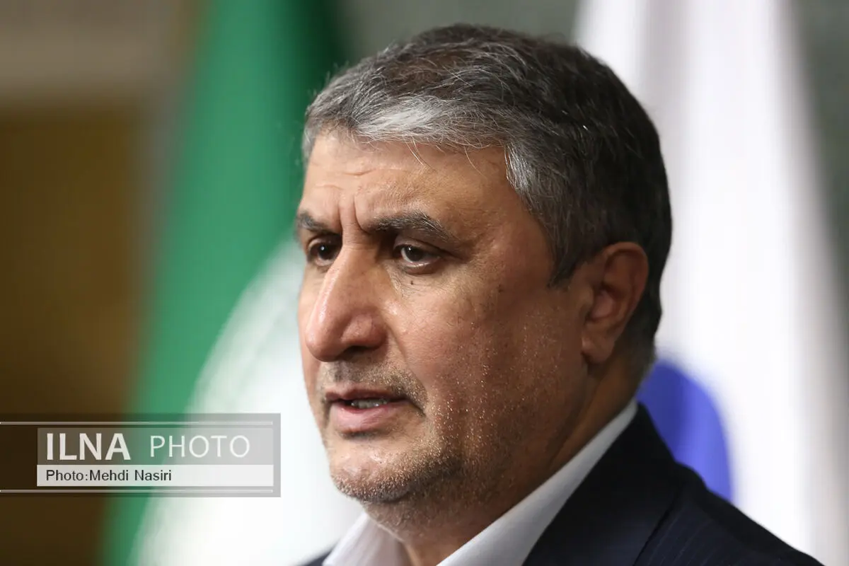 مذاکرات در جریان است/ ۱۳ مدرسه انژری اتمی در کشور داریم