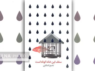 مجموعه داستان  "سقف این خانه کوتاه است" منتشر شد