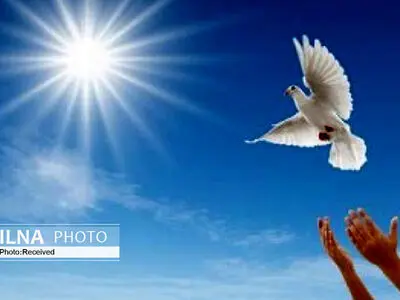 آزادی 70 زندانی حائز شرایط در استان/ از ابتدای دی ماه تاکنون 144 پرونده به سازش رسید