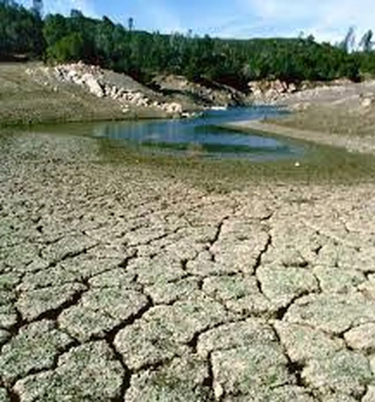  ۶۰۰ روستای کرمانشاه گرفتار تنش آبی هستند