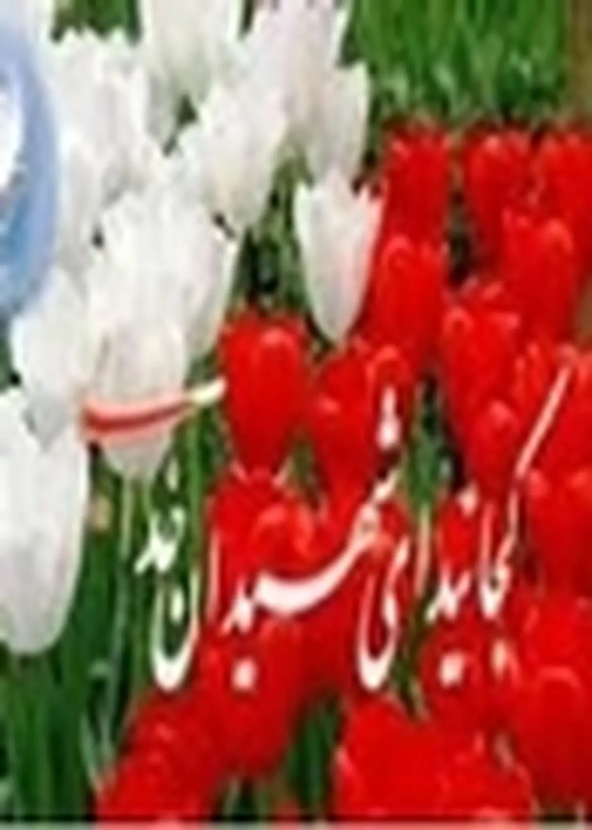 وزیر آموزش و پرورش با خانواده سه شهید در انزلی دیدار کرد