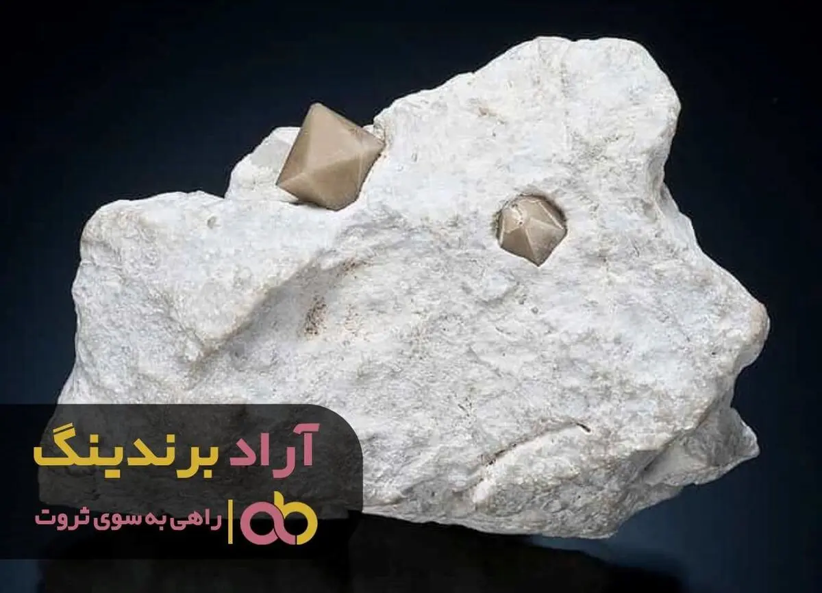 
فوت و فن های افراد ثروتمند جهان