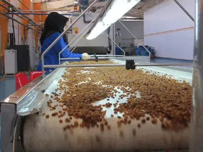 250 واحد صنایع تبدیلی در همدان در حال احداث است