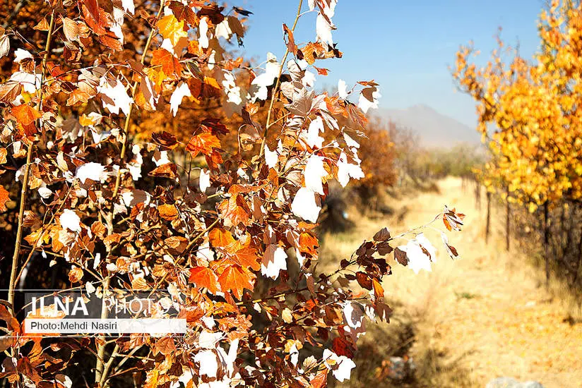  طبیعت پاییزی روستای سرسختی علیا