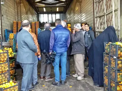 شناسایی 9 واحد صنفی متخلف در میدان میوه و تره‌بار قزوین