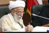 جنتی درگذشت آیت‌الله میرمحمدی را تسلیت گفت