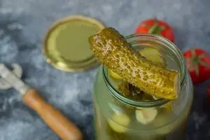 چگونه شوری خیارشور را بگیریم؟