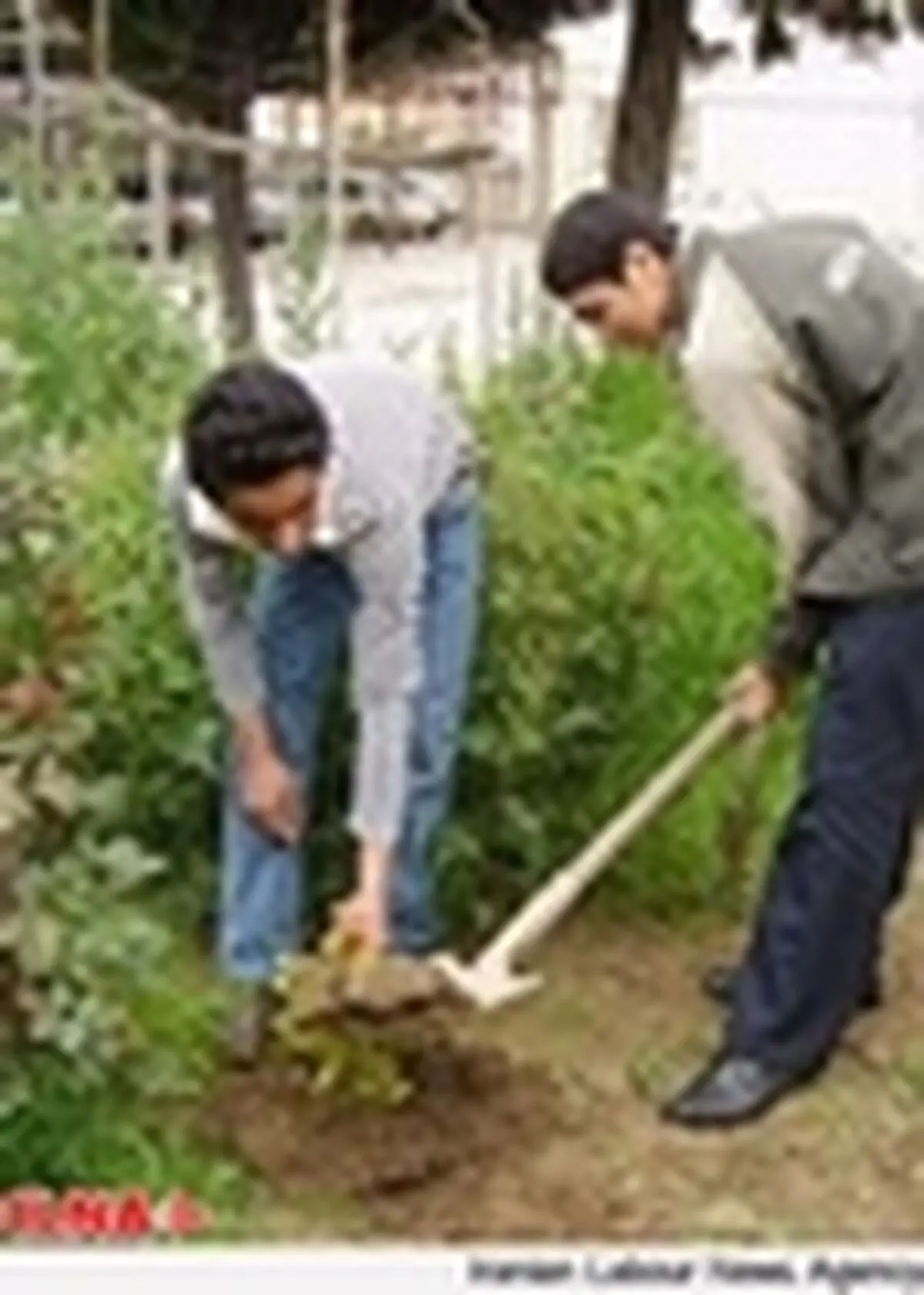 برنامه دولت برای ایجاد اشتغال در بخش کشاورزی