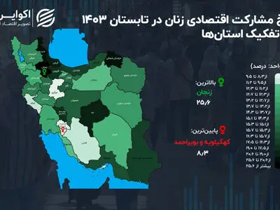بالاترین نرخ مشارکت اقتصادی زنان برای استان زنجان 