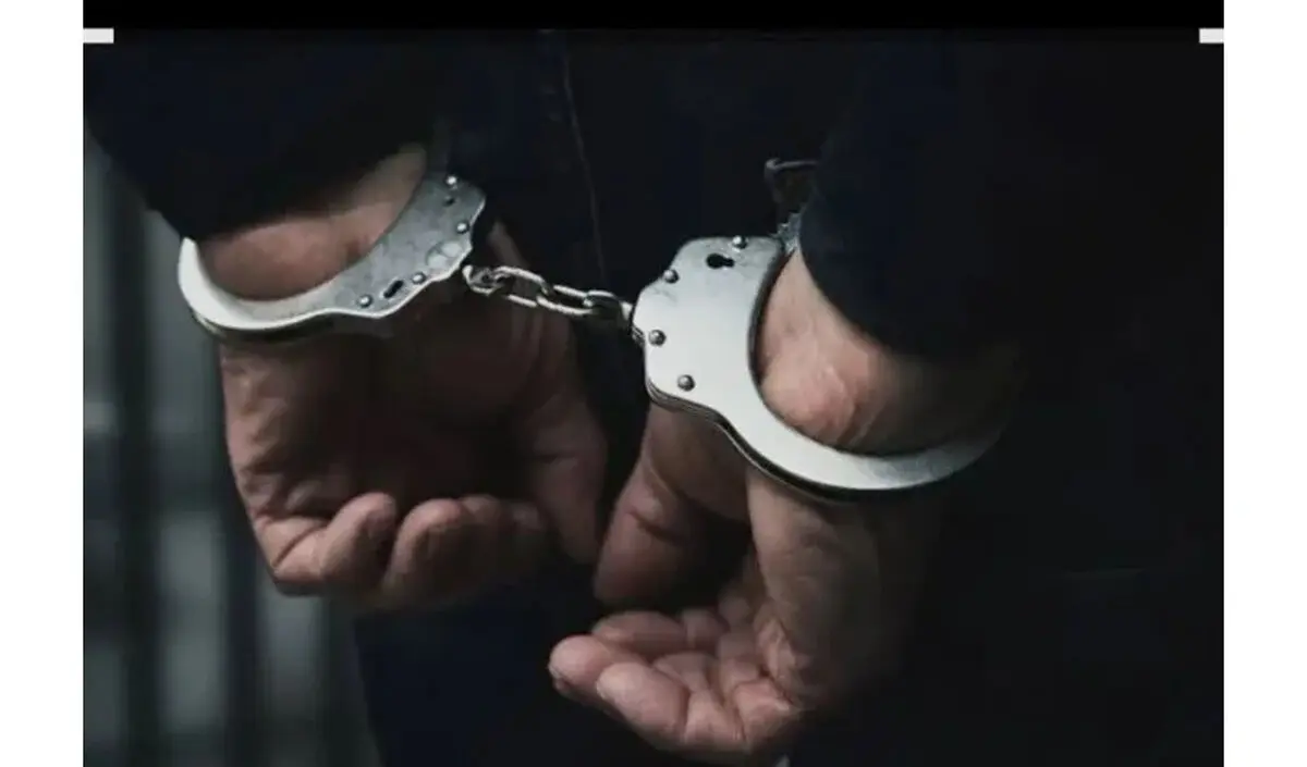  برخورد با متخلفان منابع طبیعی فارس/ از دستگیری آتش‌افروزان ممسنی تا کشف بیش از ۱۱ تن چوب قاچاق