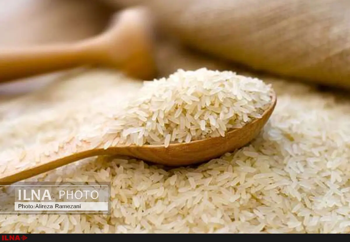برنج‌های وارداتی معدوم می‌شود/نمایندگان اعزامی به هند و تایلند در ارائه گزارش تعلل می‌کنند