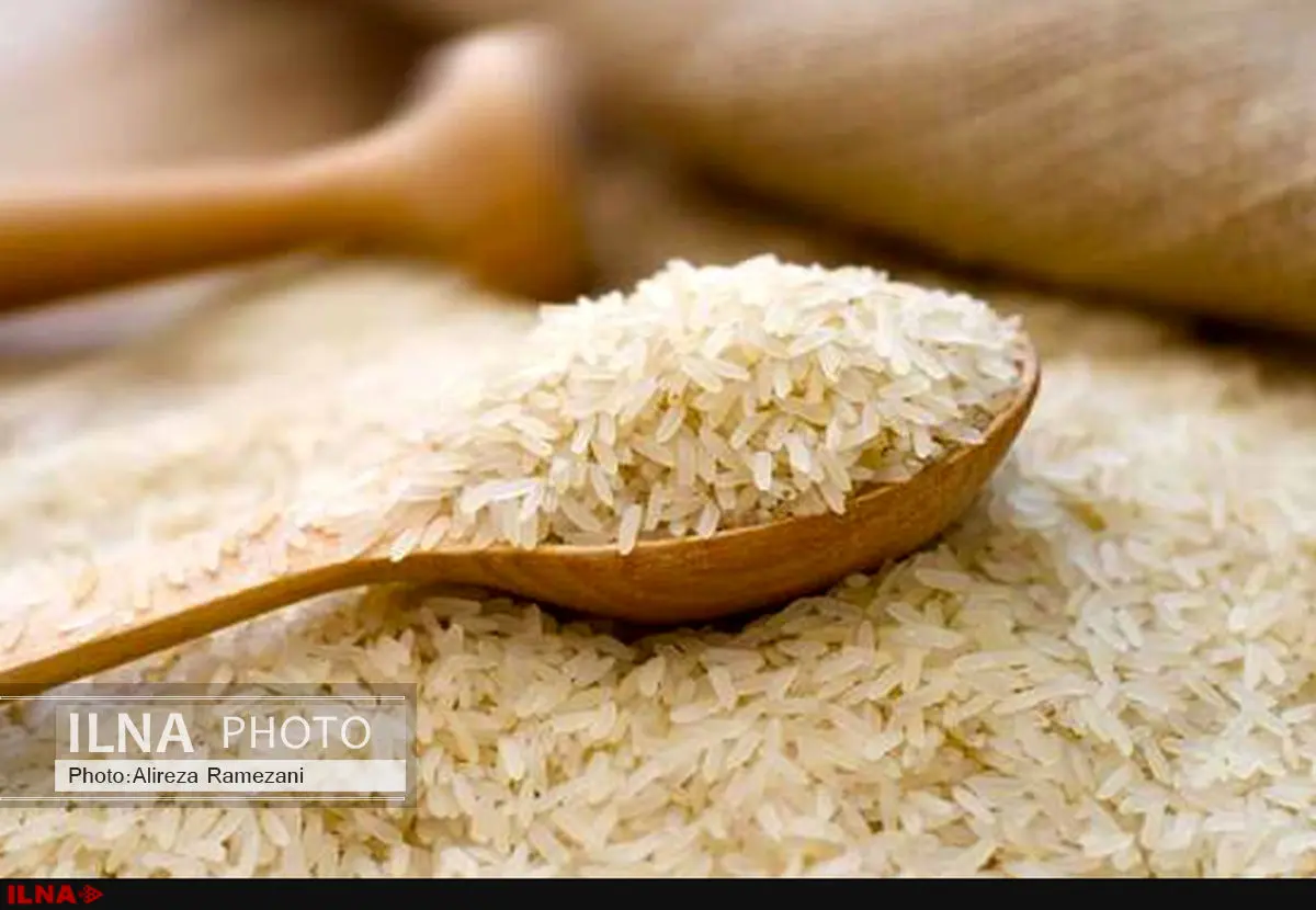 برنج‌های وارداتی معدوم می‌شود/نمایندگان اعزامی به هند و تایلند در ارائه گزارش تعلل می‌کنند