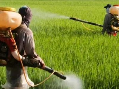 کشاورزان گیلانی برای دریافت سهمیه کود شیمایی خود اقدام کنند
