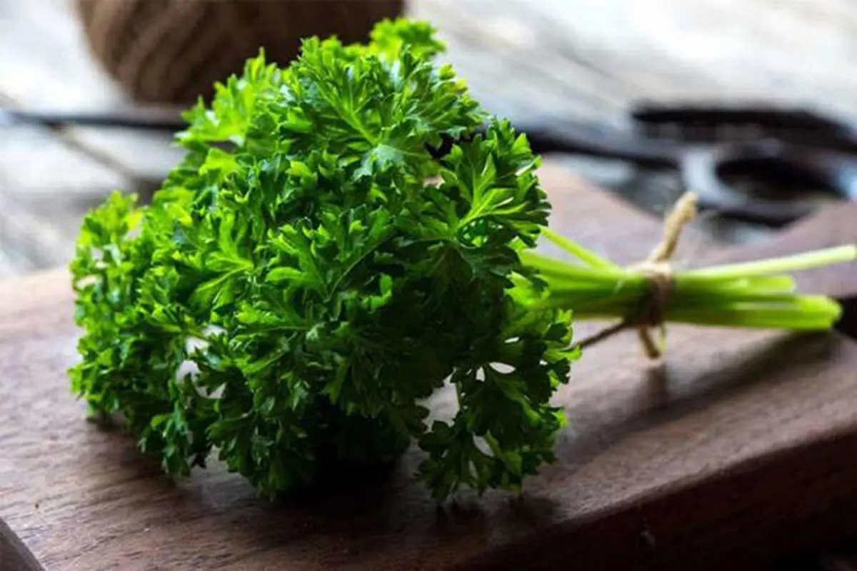 ۸ خاصیت جعفری برای سلامتی