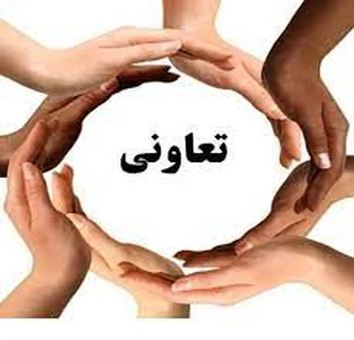 اشتغال بالغ بر ۵۰۰۰ نفر توسط شرکت تعاونی های کاشان