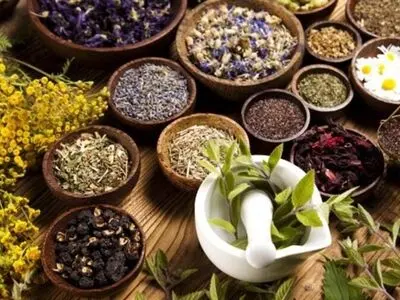 ۶ گیاه دارویی که می‌توانید در آپارتمان پرورش دهید