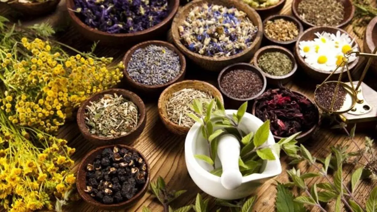 ۶ گیاه دارویی که می‌توانید در آپارتمان پرورش دهید