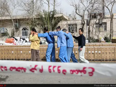  ۴  کامیون حامل دام قاچاق در شهرضا توقیف شد
