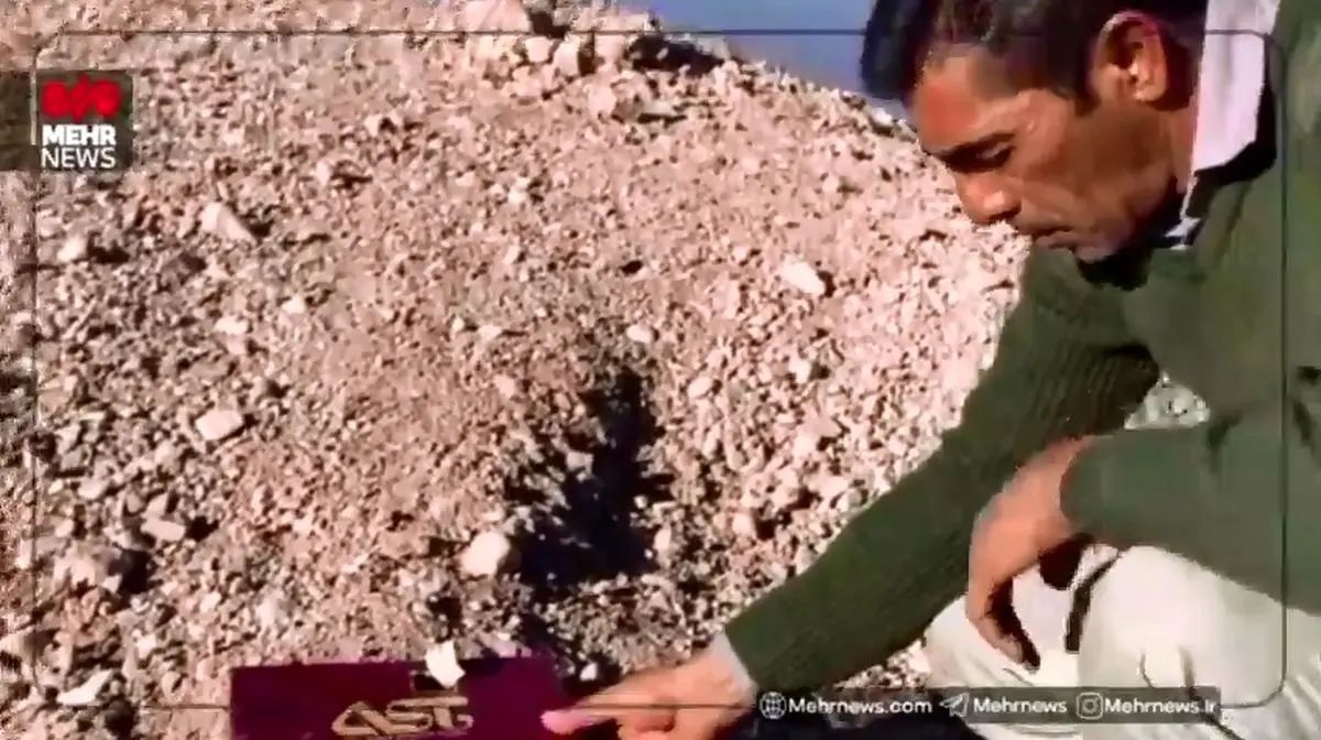 پایان خوش ماجرای یک پرنده آسیب‌ دیده در شاهرود + فیلم