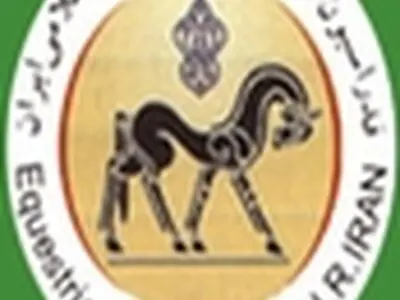 اعضای هیات‌رئیسه فدراسیون‌سوارکاری معرفی شدند