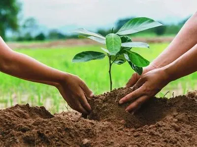 توسعه فضای سبز یک سرمایه‌گذاری بلندمدت است