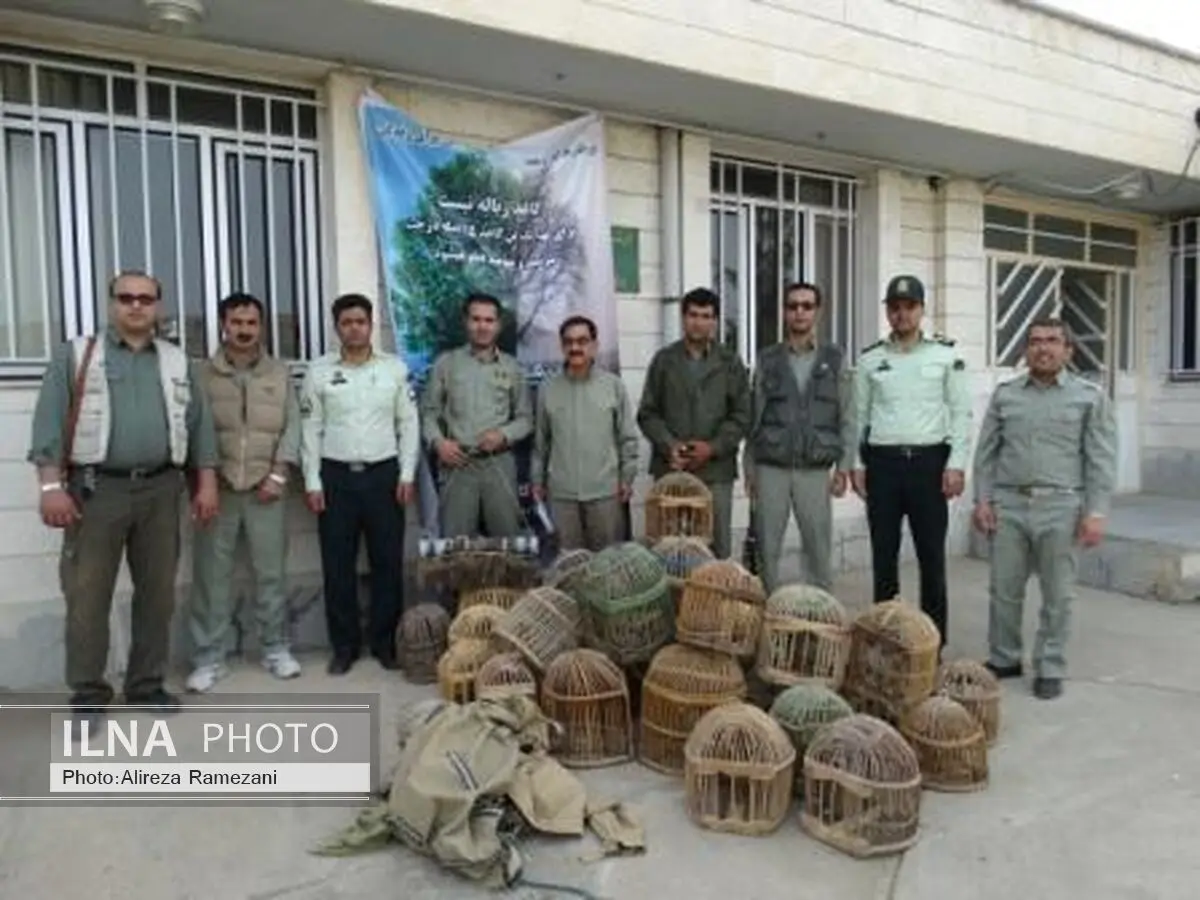 دستگیری 3 نفر متخلف حمل، عرضه ، فروش و زنده‌گیری پرندگان وحشی در مهاباد