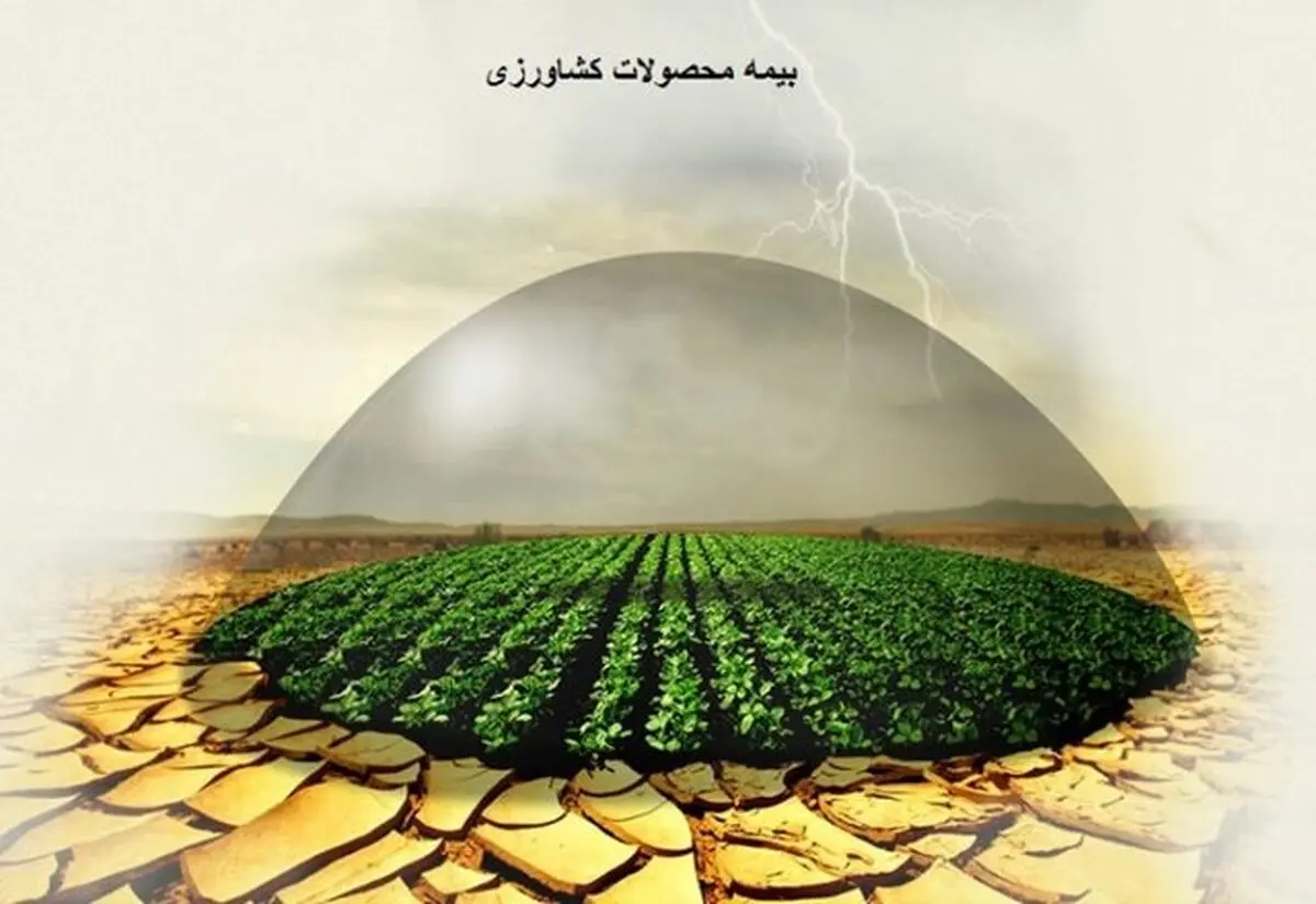 اختصاص اعتبار ۳ هزار میلیارد تومانی به صندوق بیمه محصولات کشاورزی