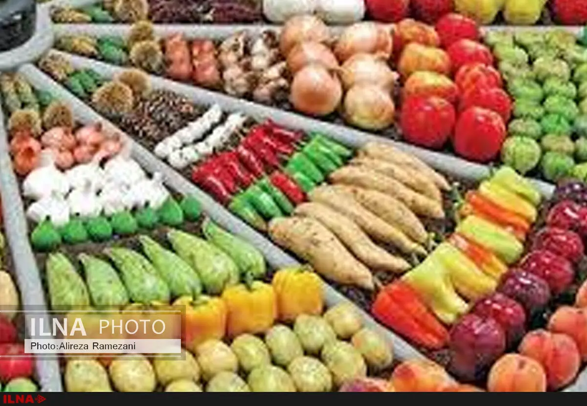 واردکنندگان مخالف تولید تراریخته هستند/ نتیجه پژوهش‌ها را به سفره مردم می‌آوریم