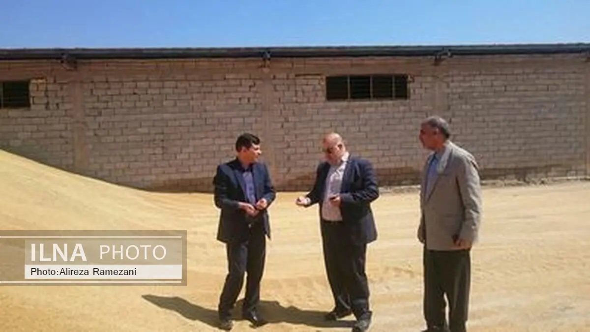 بازدید فرماندار خرمشهر از نحوه برداشت گندم در شهرستان