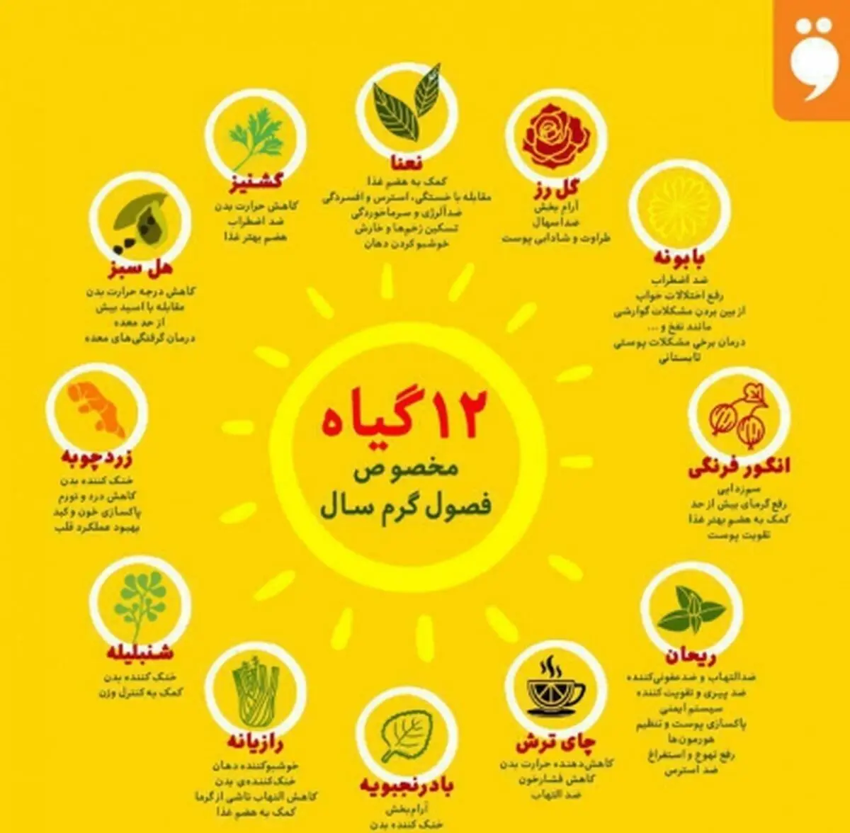 گیاهان مخصوص فصل گرم سال +عکس