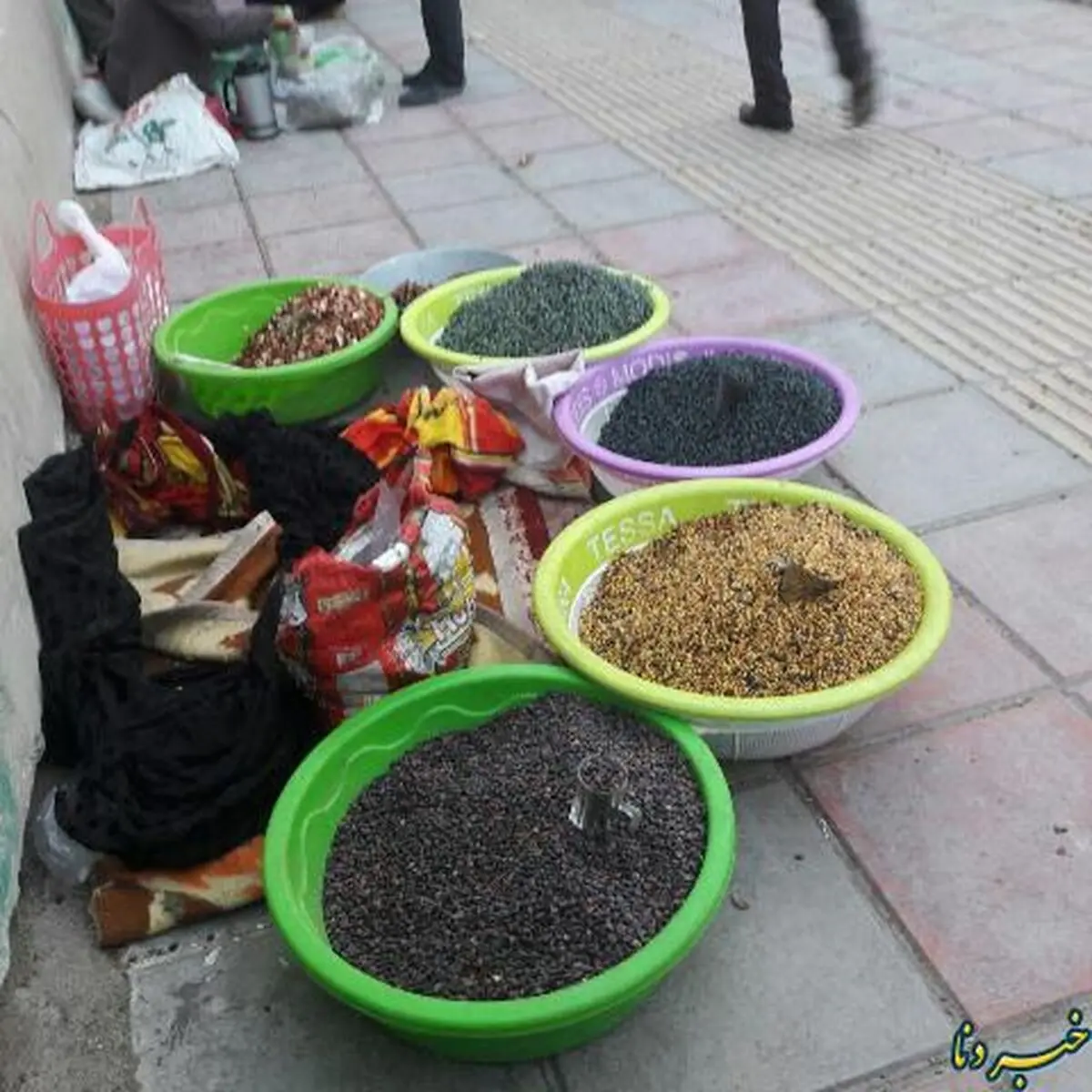   گرد فقر بر چهره خیابان‌های پایتخت طبیعت ایران زمین + تصاویر