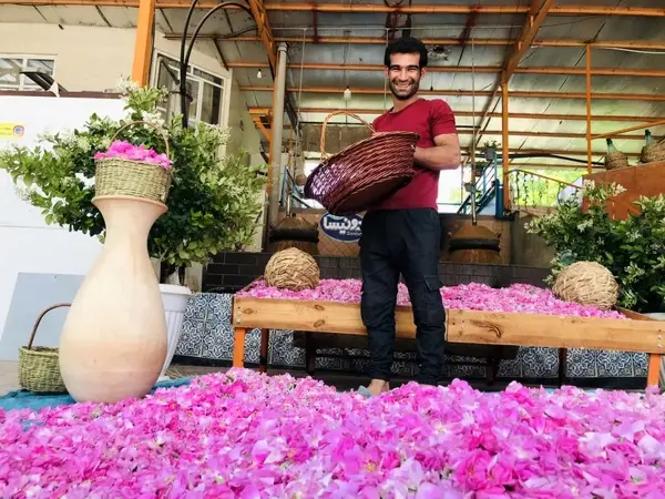 ​جشنواره گل و گلاب میمند 8 اردیبهشت برگزار می‌شود