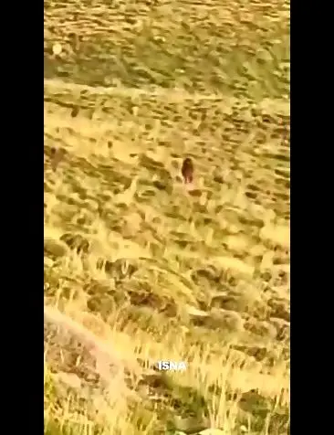 asdasd