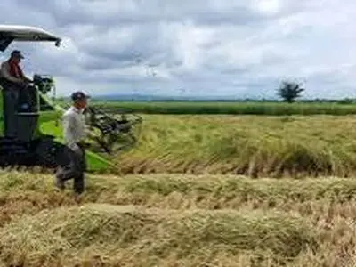 چهارمحال و بختیاری دروازه ورود سریع به سرمایه‌گذاری کشاورزی؛ زمان صدور مجوز به ۱۳ روز کاهش یافت