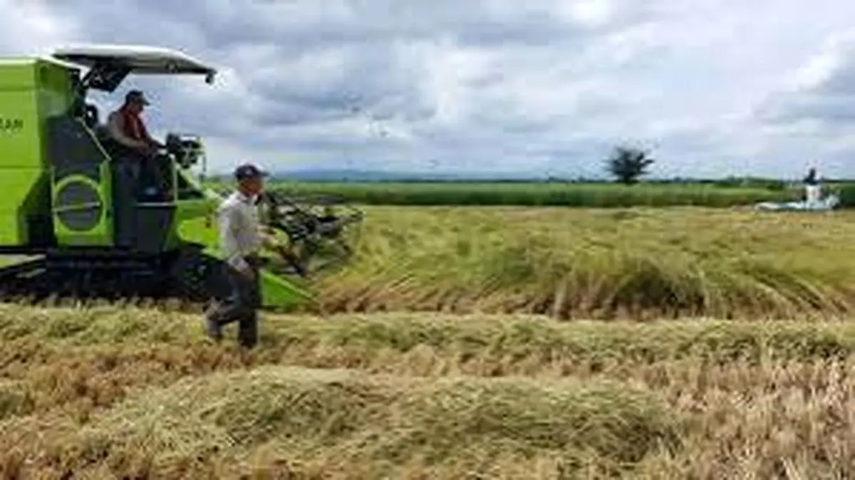 چهارمحال و بختیاری دروازه ورود سریع به سرمایه‌گذاری کشاورزی؛ زمان صدور مجوز به ۱۳ روز کاهش یافت