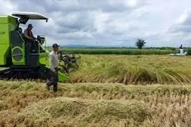 چهارمحال و بختیاری دروازه ورود سریع به سرمایه‌گذاری کشاورزی؛ زمان صدور مجوز به ۱۳ روز کاهش یافت