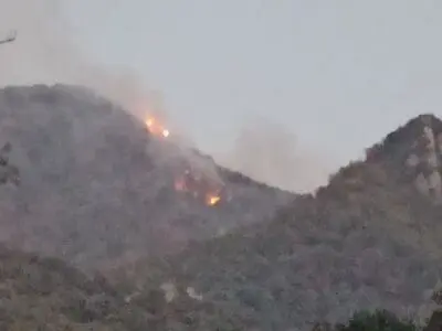 آتش‌سوزی در ارتفاعات جنگلی چند بالا سیاه رودبار علی آباد کتول مهار شد