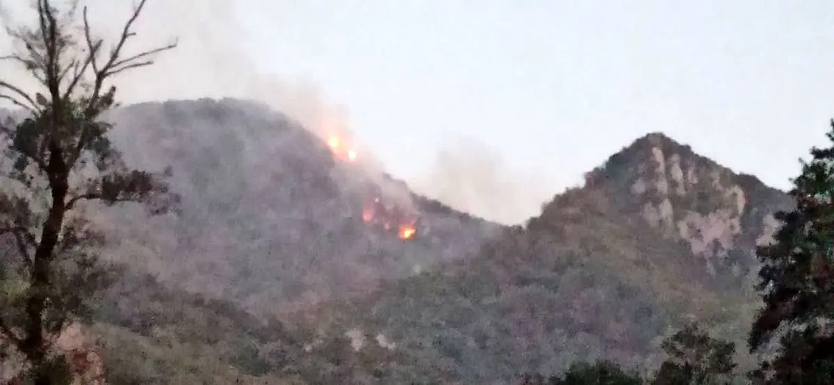 آتش‌سوزی در ارتفاعات جنگلی چند بالا سیاه رودبار علی آباد کتول مهار شد