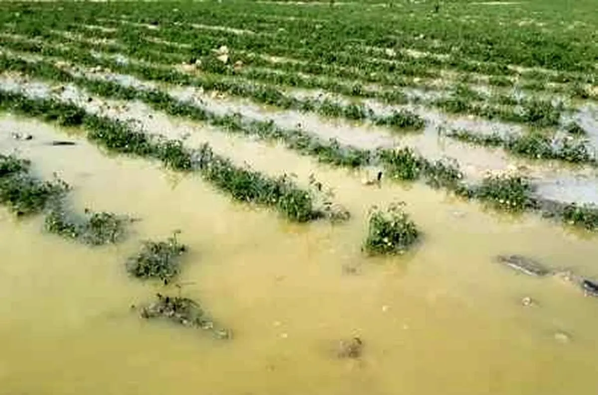 اصرار معاونان رییس جمهور و استاندار خوزستان در پرداخت خسارت سیل 95 استان، کذب محض است